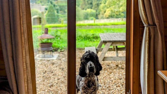 notgrove-holidays-cotswolds-huddle (4)