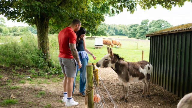 notgrove-holidays-cotswolds-huddle (40)
