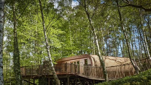 the-fish-treehouses-and shepherds-huts-cotswolds-concierge (2)