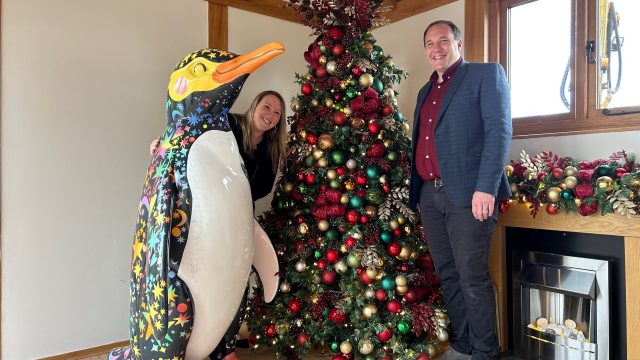 three-counties-christmas-decorators-cotswolds-huddle (23)